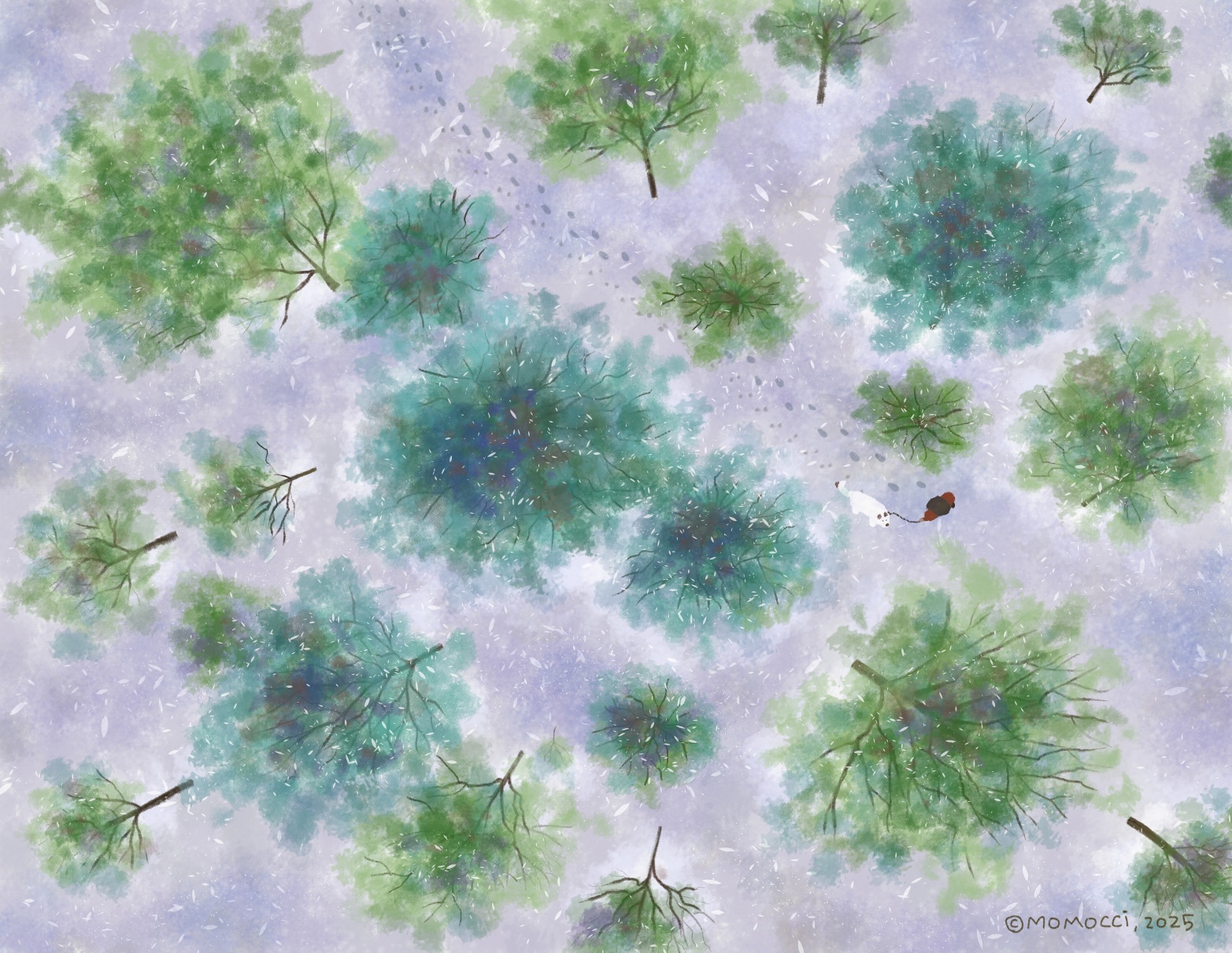 A Winter forest