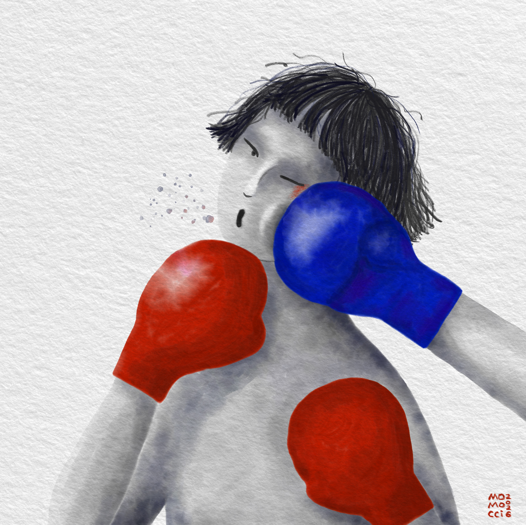 A boxer